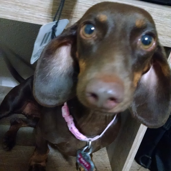 Meet your Posher, Jay - Picture 1 of 1